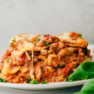 lasagna on a dish.